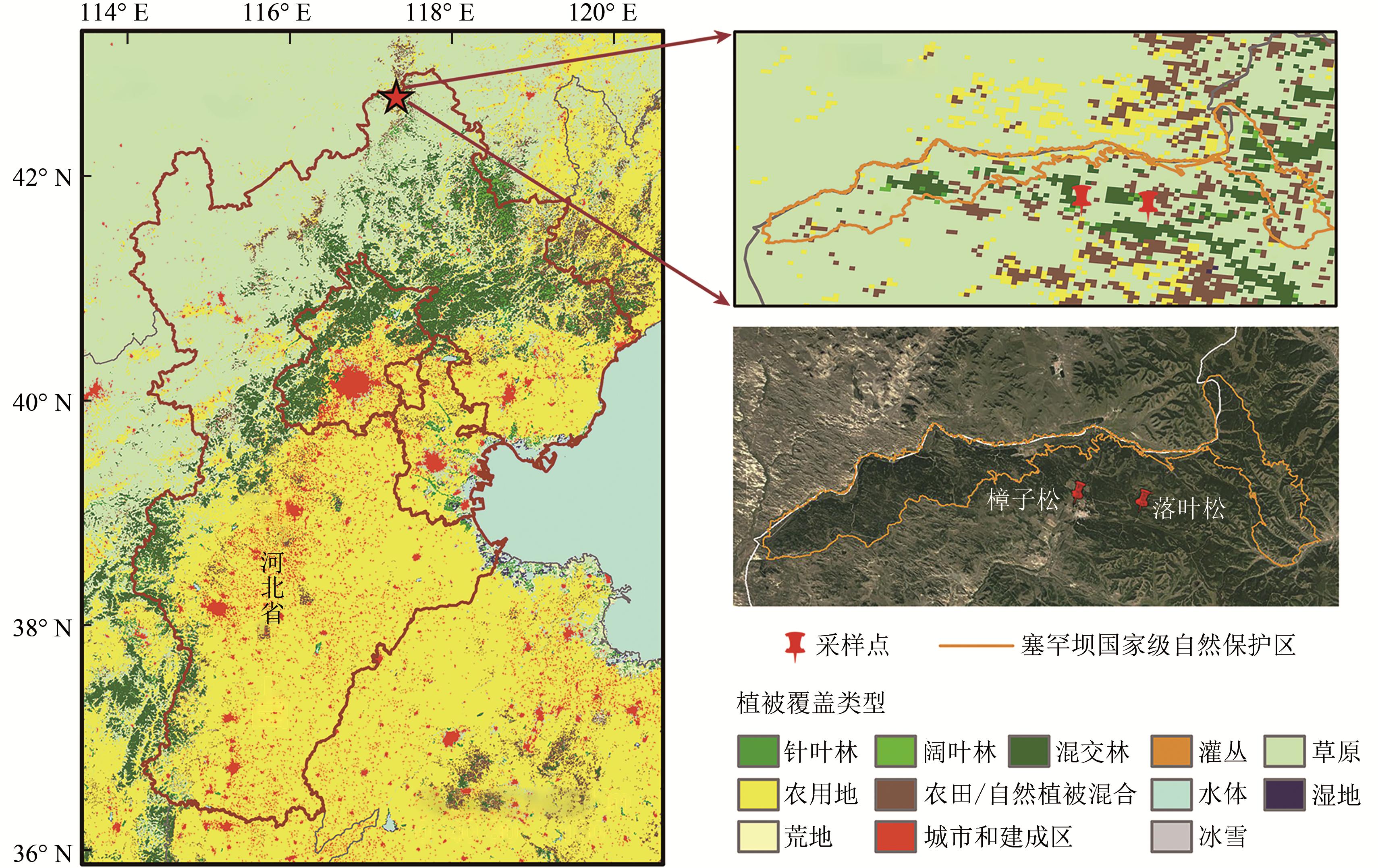 Observation and analysis of bidirectional and hotspot reflectance of conifer forest canopies with a multiangle hyperspectral UAV imaging platform