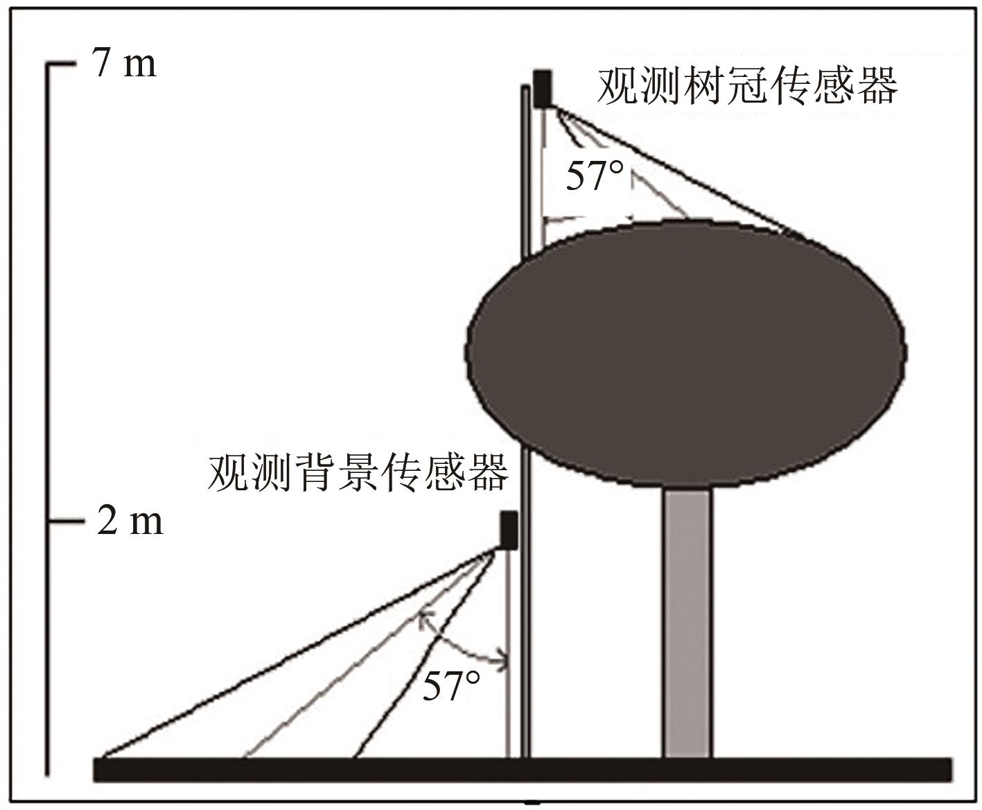 Separating land surface component temperatures from Low Earth Orbit （LEO） satellite data by coupling of dual-time and multi-pixel data