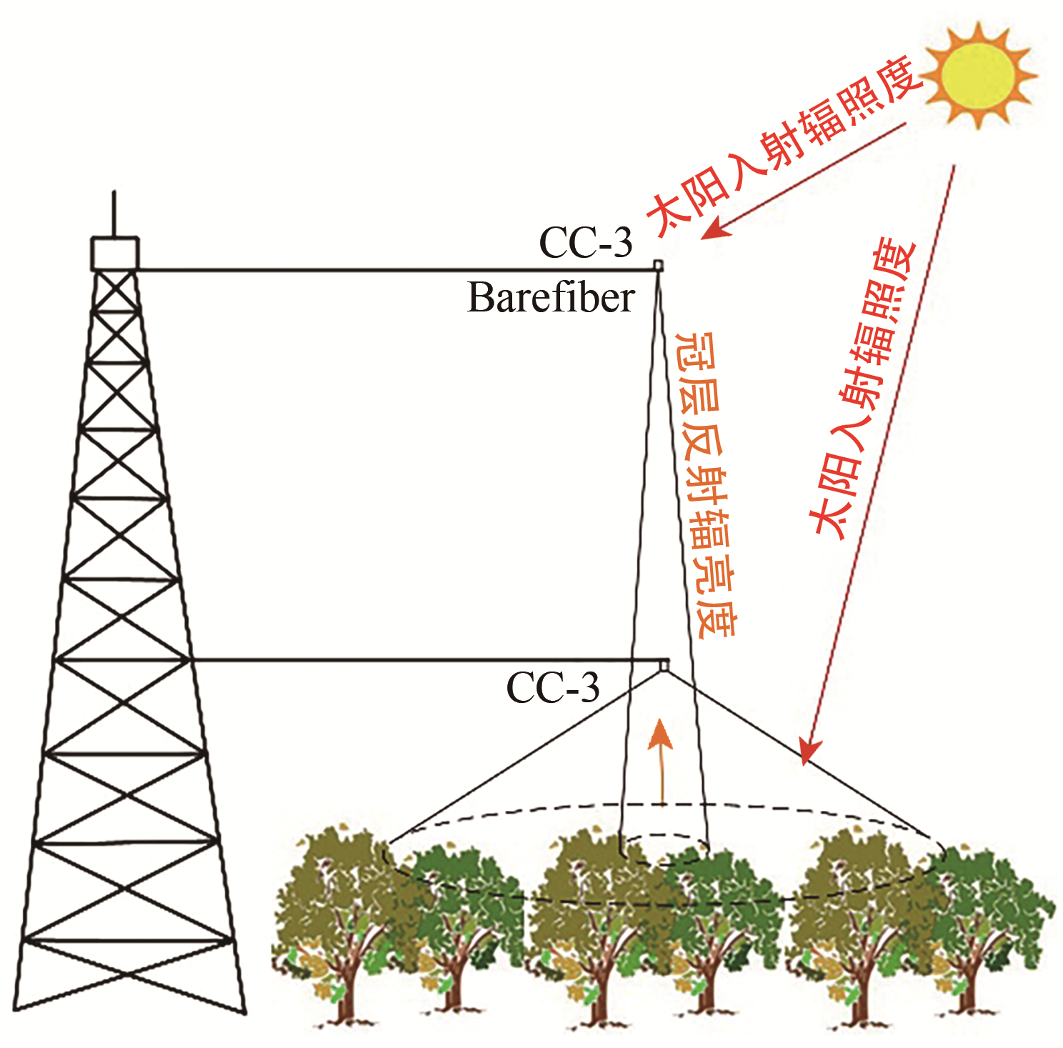 Tower-based automatic observation methods and systems of solar-induced chlorophyll fluorescence in vegetation canopy