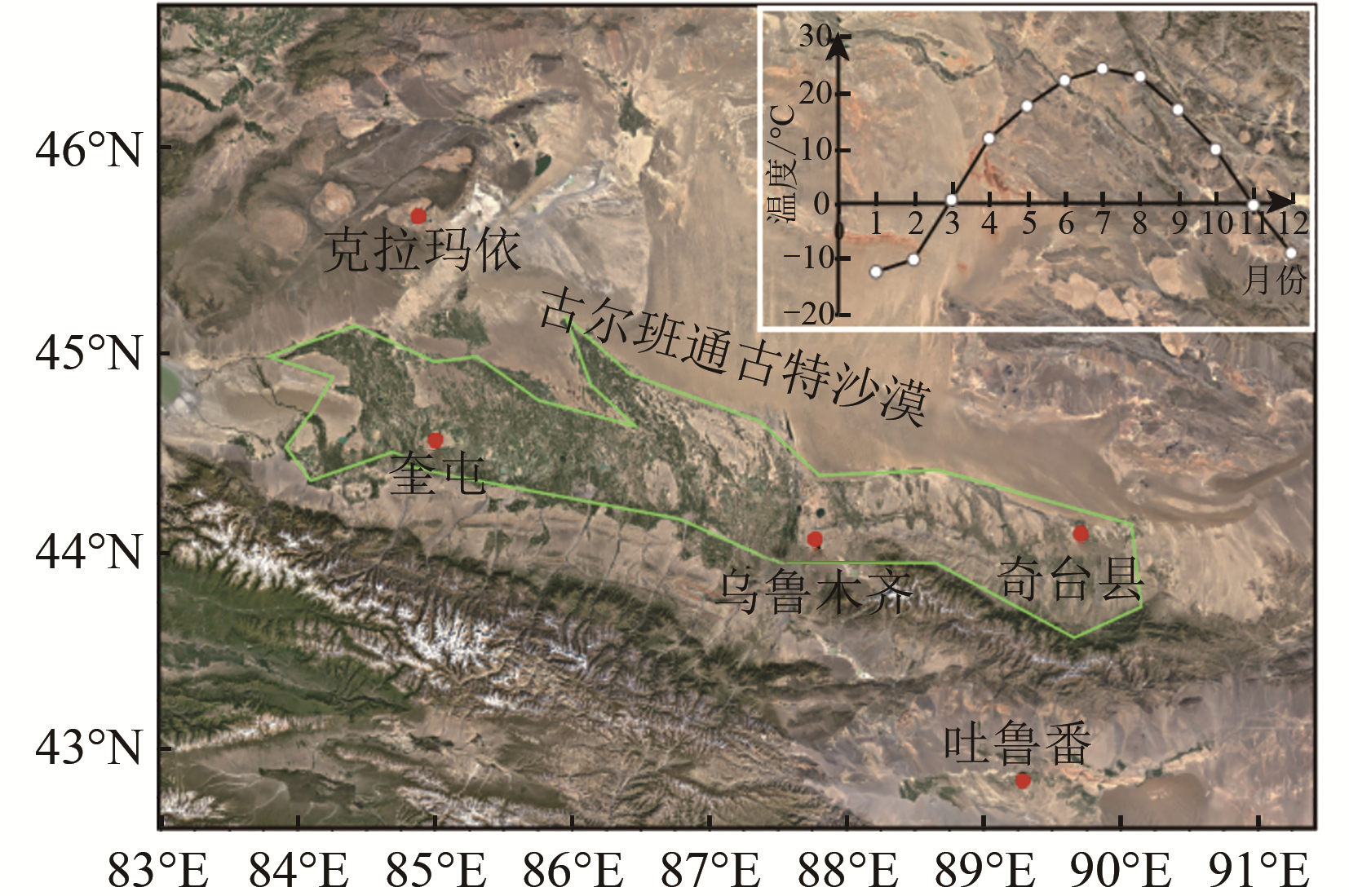 The characteristics and evolution of surface deformation induced by agricultural irrigation in the Junggar Basin from the perspective of InSAR