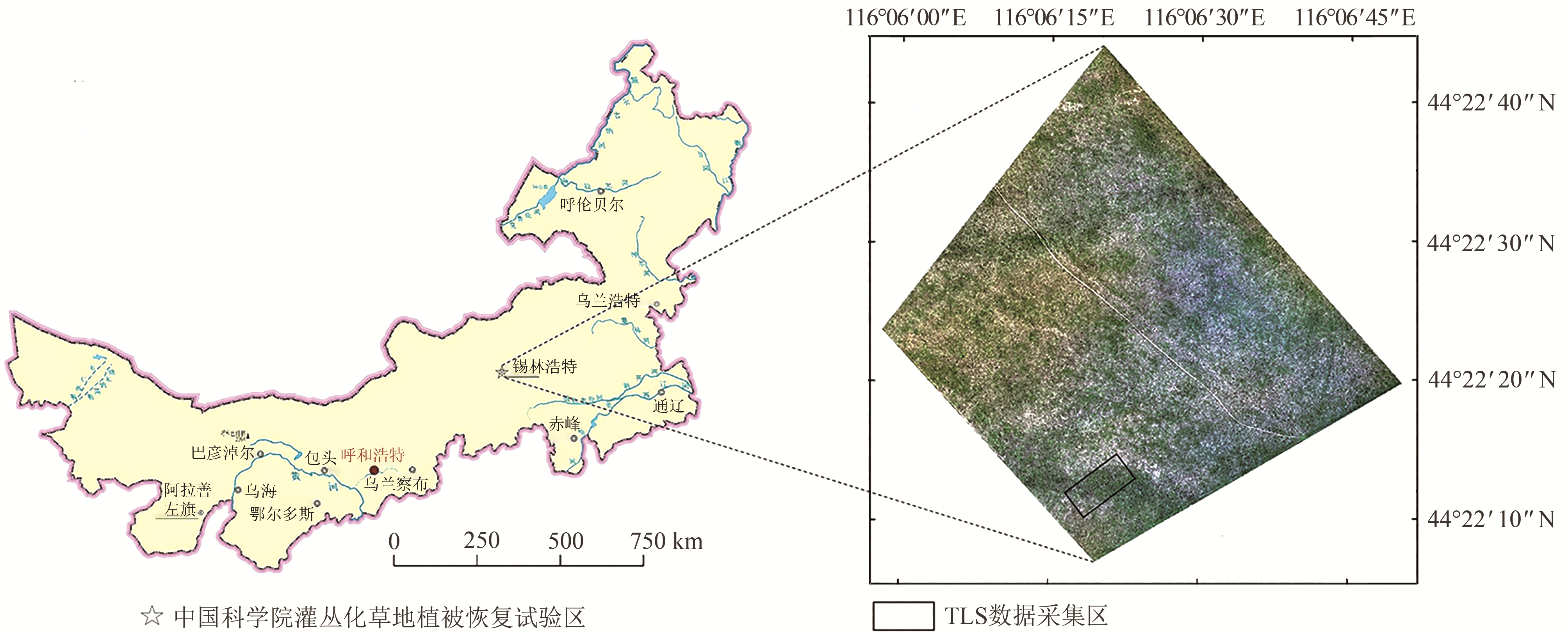 Biomass estimation of <em class="move-commonlist-italic">Caragana microphylla</italic> in the shrub-encroached grassland based on terrestrial laser scanning