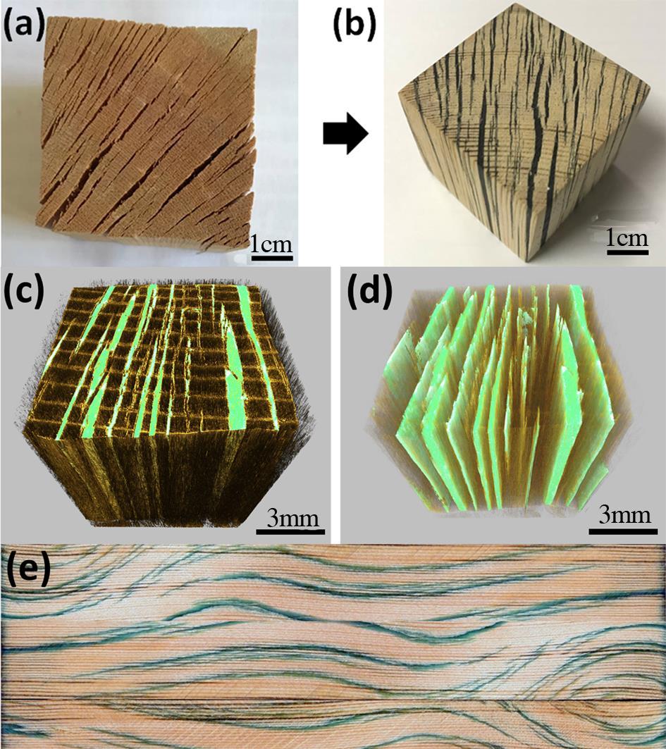 Structure and Properties of Microwave Puffed Mongolian Scotch Pine Wood Filled with Epoxy Resin