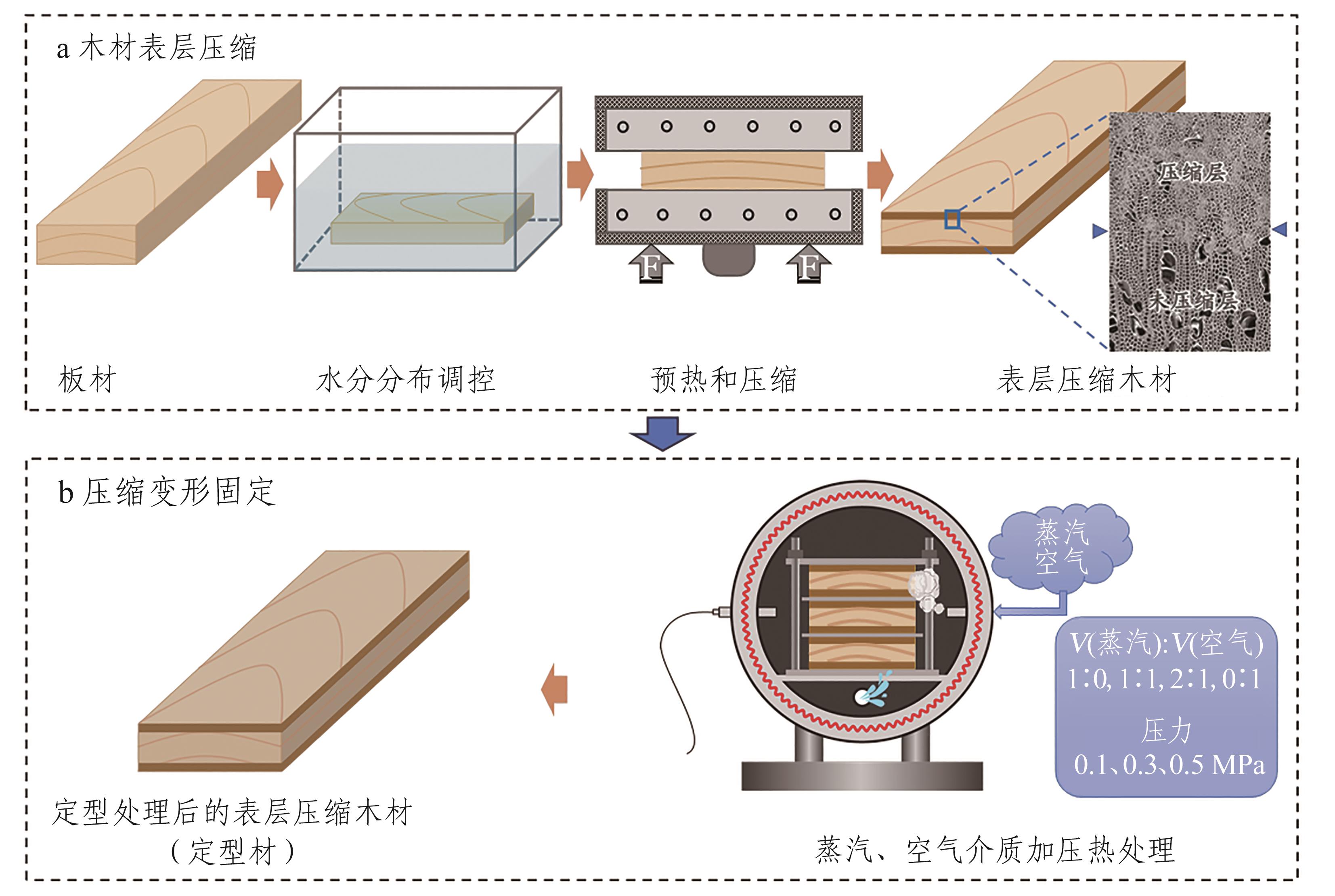 基于空气与蒸汽介质组成比及其压力调控的木材压缩变形永久固定