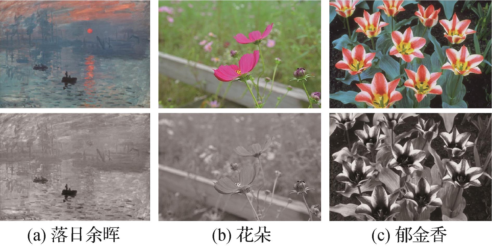 Adaptive decolorization method based on t-SNE maximization