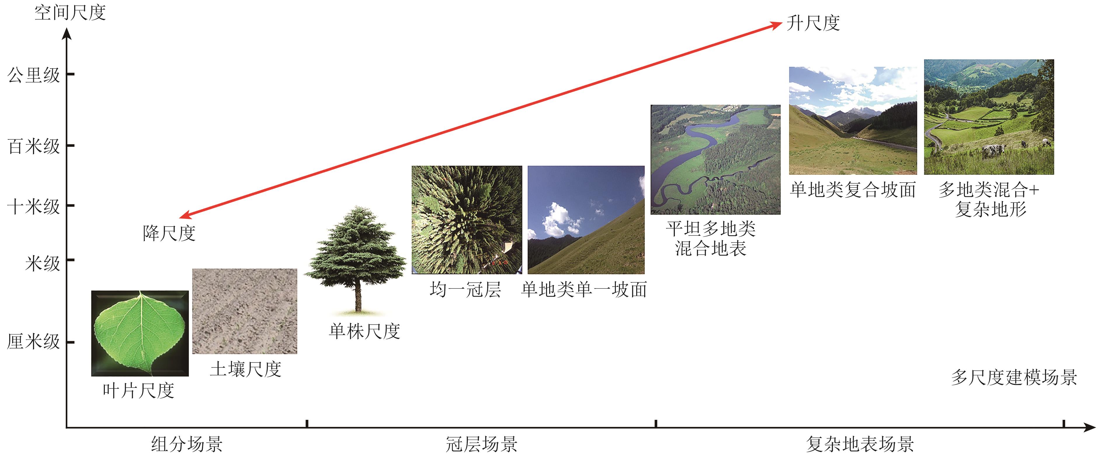 光学遥感机理建模：回顾与展望