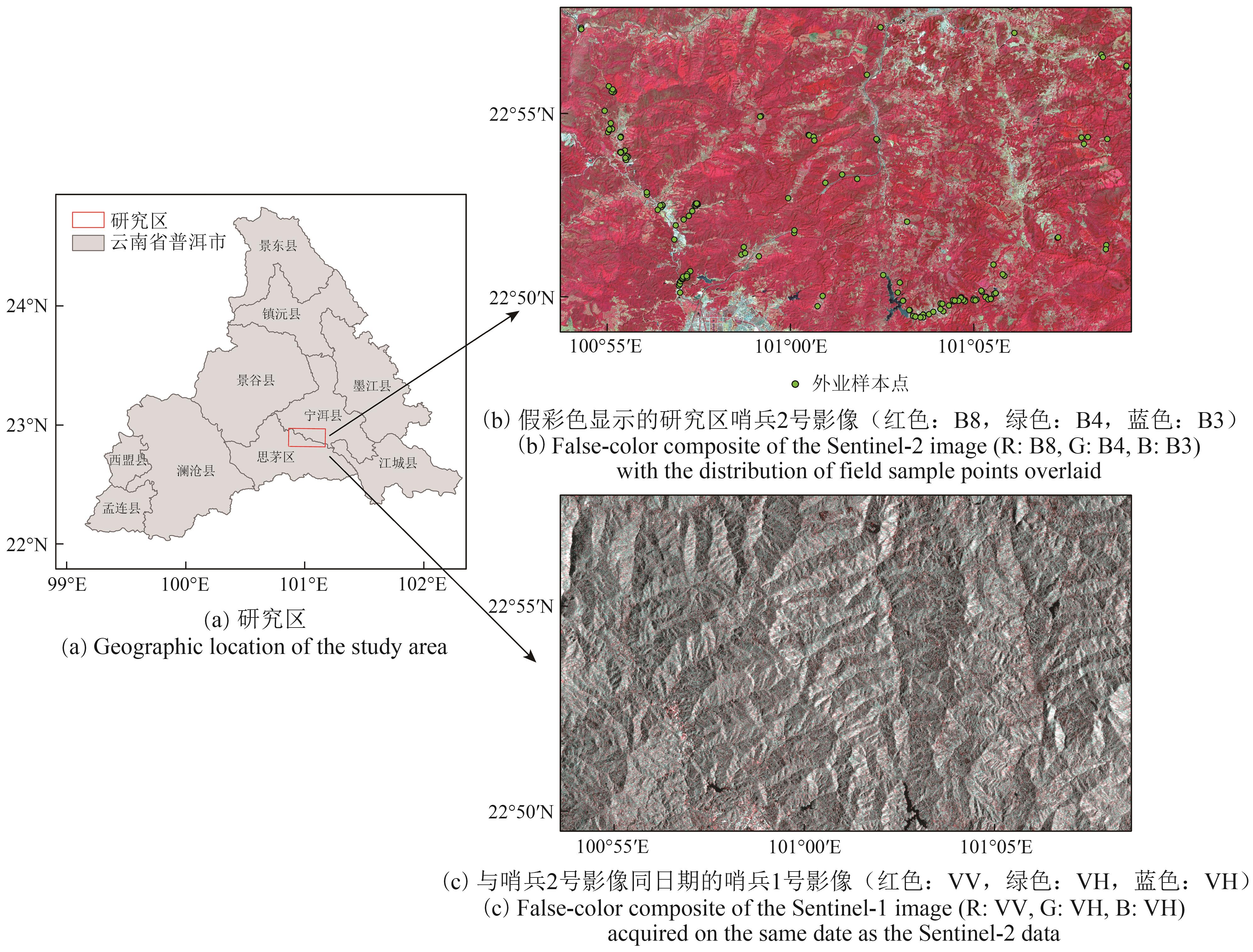 Forest classification via cross-attention fusion of multispectral and SAR remote sensing data