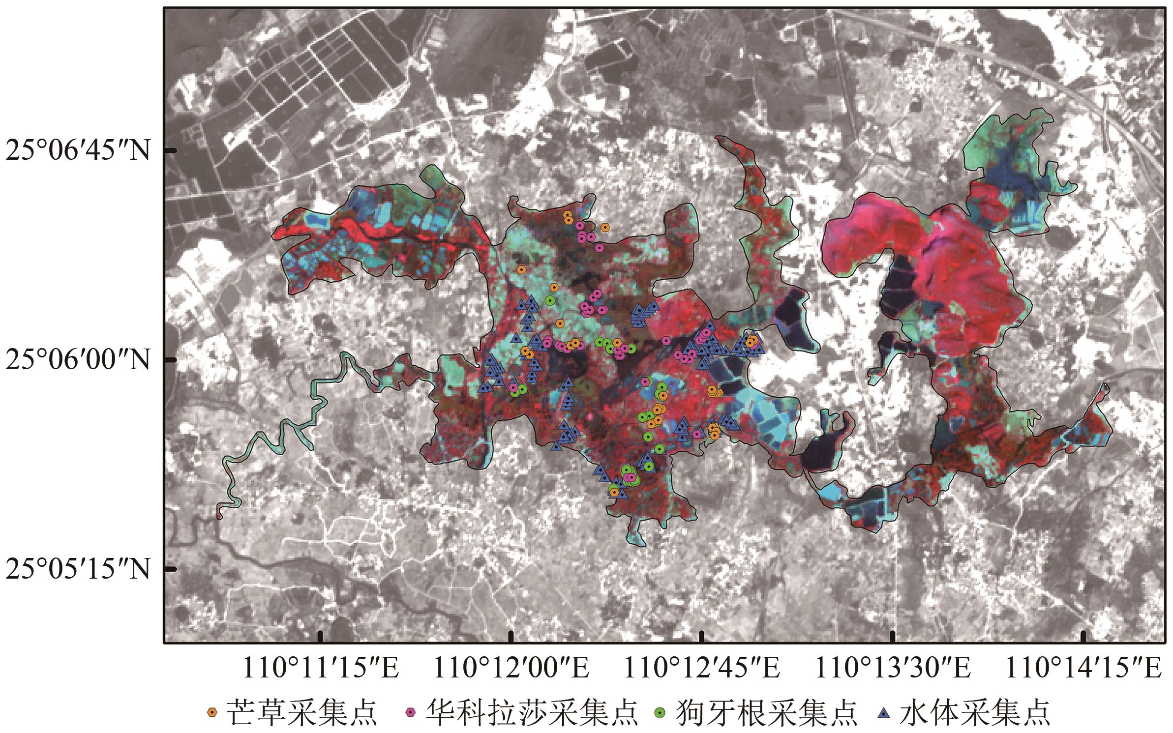 基于CMIFM的跨平台超分辨率高光谱影像重建及光谱定量评估——以岩溶湿地为例