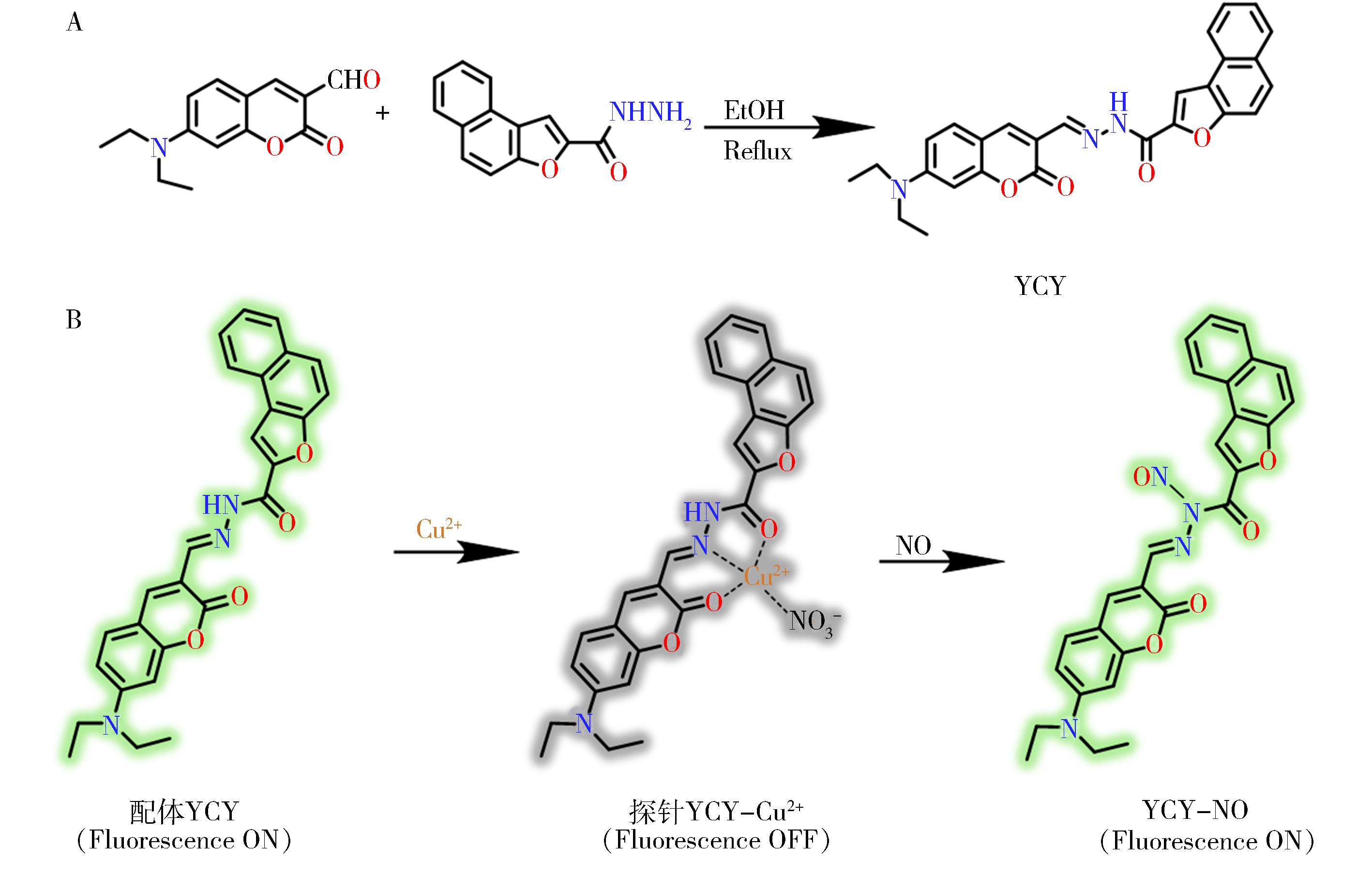 香豆素-铜（Ⅱ）配合物基一氧化氮荧光探针及其活体荧光成像研究