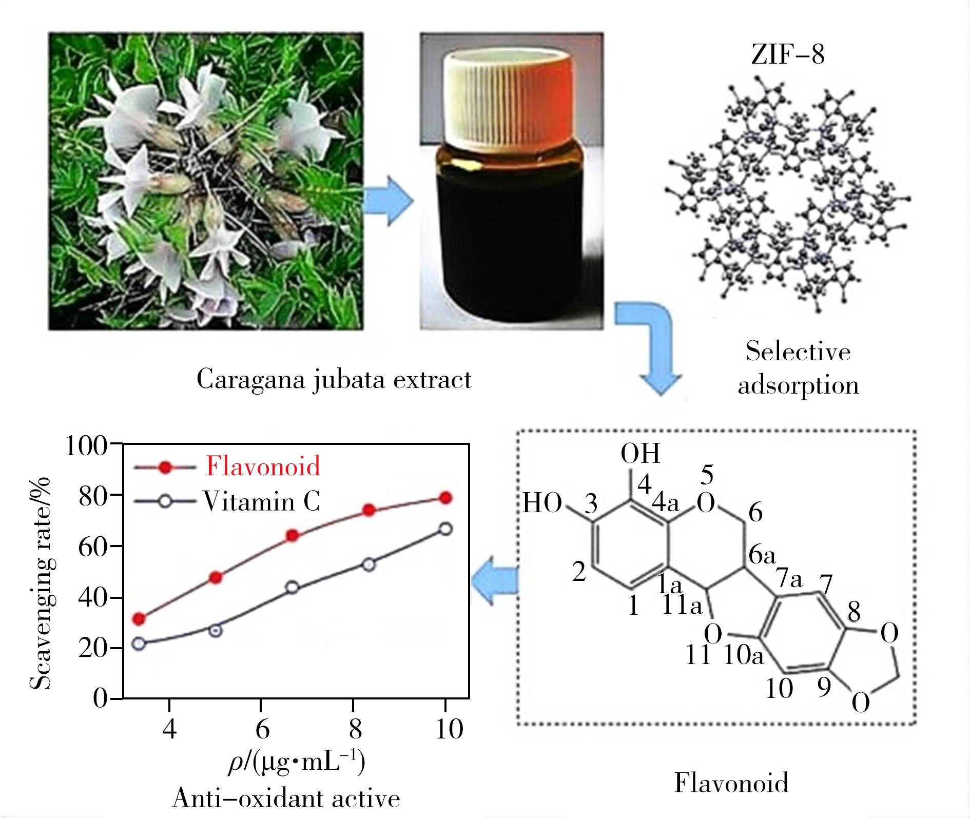 MOFs和COFs在选择性富集及色谱分离中药活性成分中的应用进展